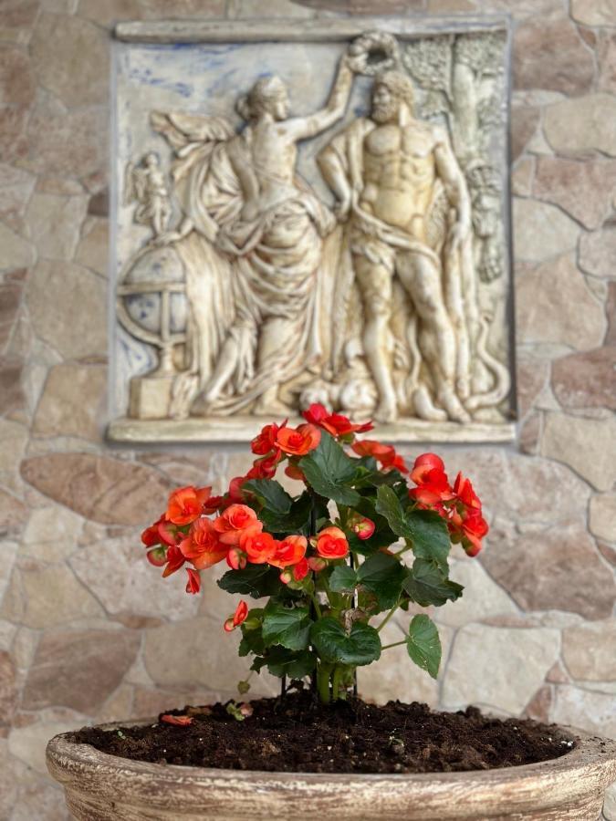 The Odyssey Holiday Home - Agios Ioannis, Pelion Agios Ioannis  Extérieur photo